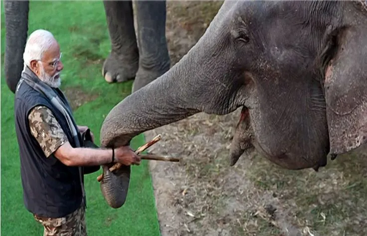PM Modi Highlights India's Elephant Conservation Efforts on World Elephant Day