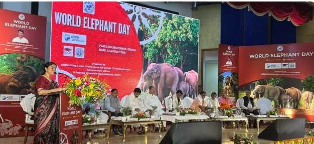 Odisha Govt Observes World Elephant Day, Reaffirms Conservation Commitment