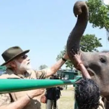 PM Modi Highlights India's Elephant Conservation Efforts on World Elephant Day