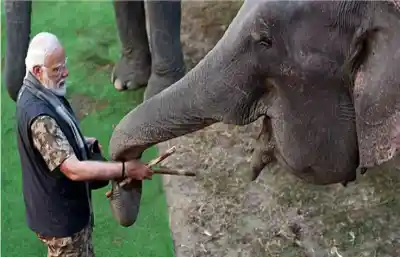 PM Modi Highlights India's Elephant Conservation Efforts on World Elephant Day