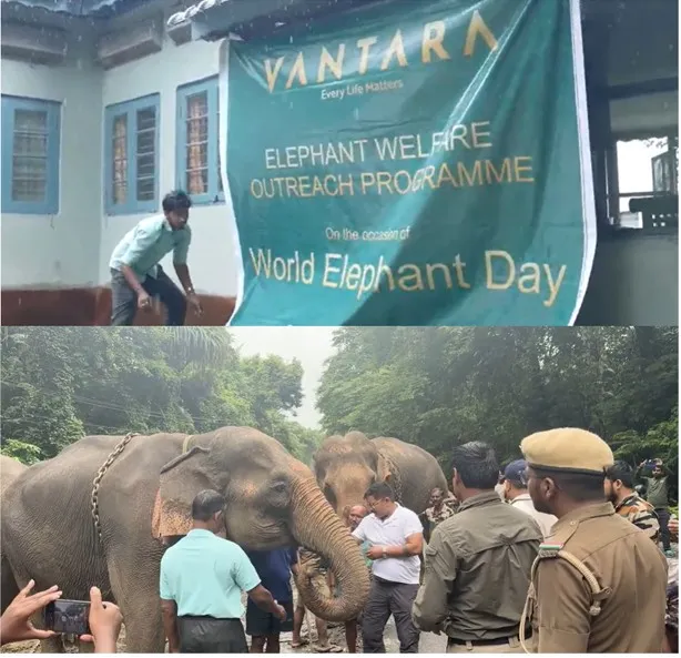 World Elephant Day: Vantara expands elephant welfare outreach across India and globally