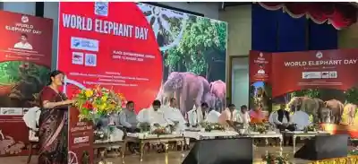 Odisha Govt Observes World Elephant Day, Reaffirms Conservation Commitment