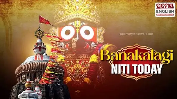 Preparations for the Banakalagi ritual will begin in the afternoon after the completion of the second Bhoga Mandap ritual. The Dattamahapatra servitors will then enter the sanctum sanctorum to perform the special facial decoration of the deities