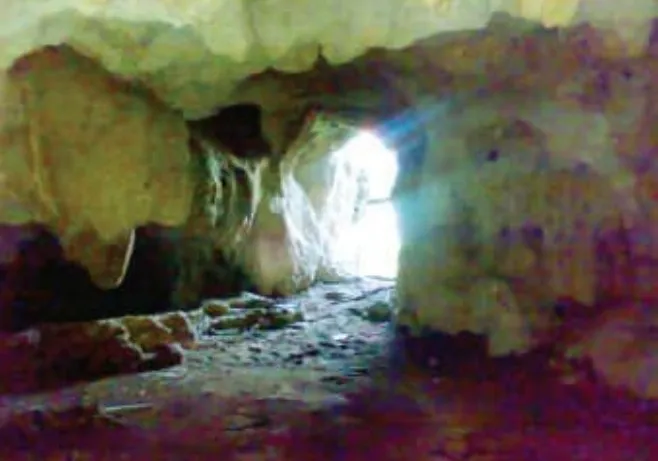 Padam Cave Boudh: The forgotten stronghold of Odisha’s freedom struggle