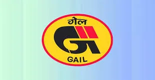 GAIL strengthening India's energy security through diversified LNG portfolio: CMD
