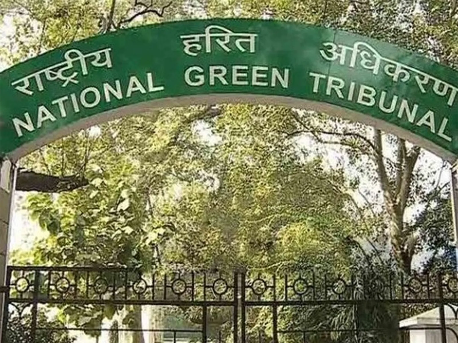 NGT seeks responses from Karnataka authorities over mass fish mortality in Belagavi lake