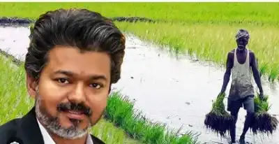 TN CM Vijay Marks 100 Days in Office; Announces Enhanced ₹6,220-Crore Crop Loan Waiver, Says ‘Farmers Are Our Lifeline’