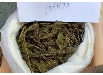 ganja
