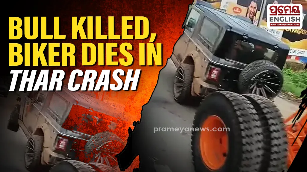 According to reports, a Mahindra Thar travelling from Puri towards Bhubaneswar hit a bull and a motorcycle near Gudiapokhari. The bull died on the spot.