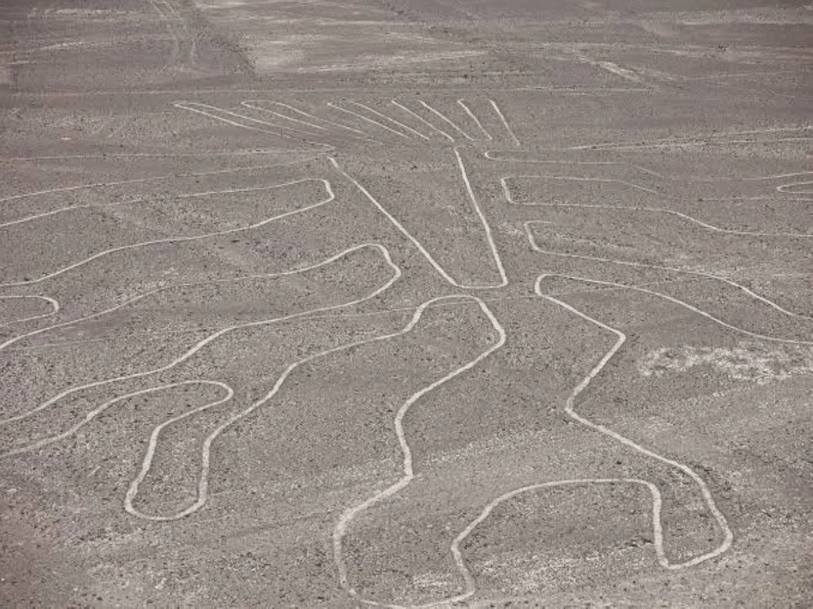 Tourist plane crash leaves 13 dead near Nazca Lines in Peru
