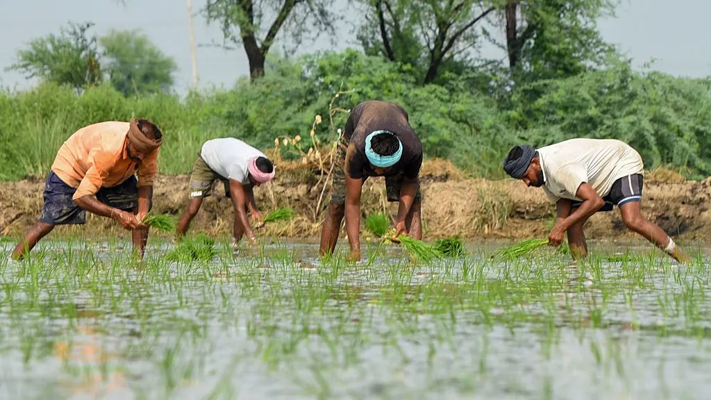 NBA releases Rs 8.22 crore to rice research institutions and rice-growing States; Odisha gets Rs 48.09 lakh allocation 