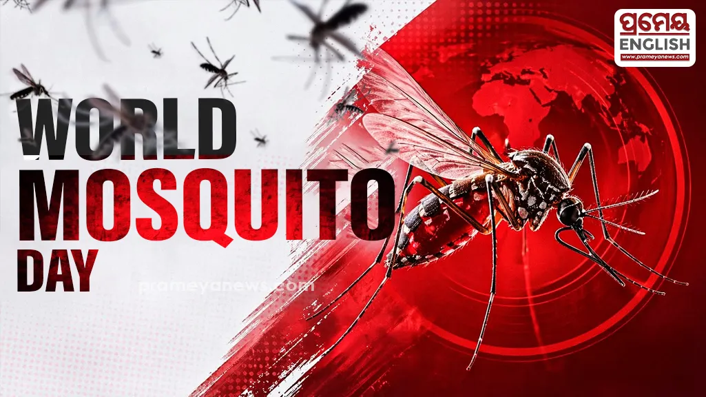 “Mosquitoes may be small, but the danger they pose is very significant,” said Professor Smita Kumari Panda, Professor and Head of the Department of Community Medicine at VIMSAR.