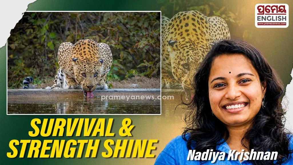 Masterful Lens Captures Unbroken Spirit of Wounded Predator