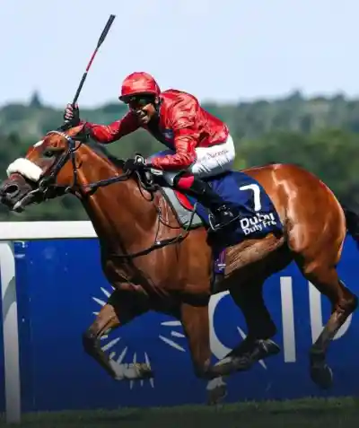 Suraj Narredu Invited To Japan's Prestigious World All-Star Jockeys Tournament