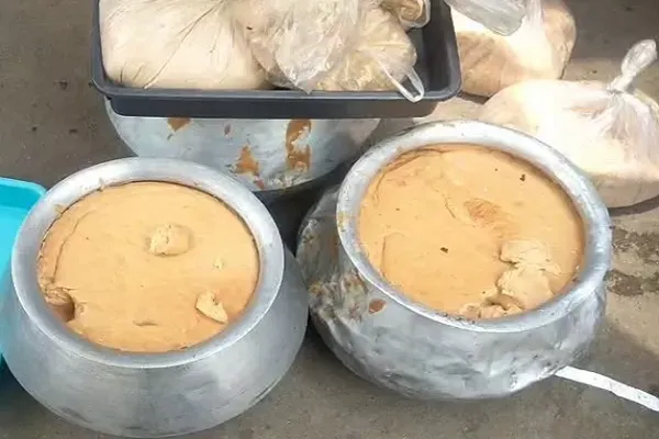 Odisha crackdown on adulterated paneer: 400 kg chhena, paneer & dairy products destroyed