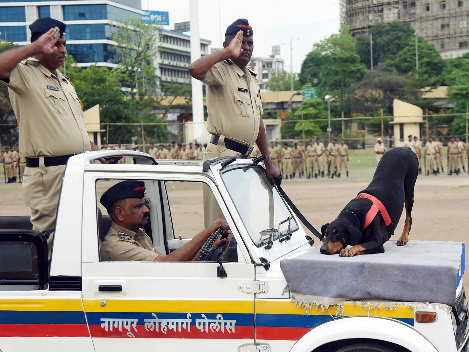 Maharashtra retains retired police dogs with handlers at state expense
