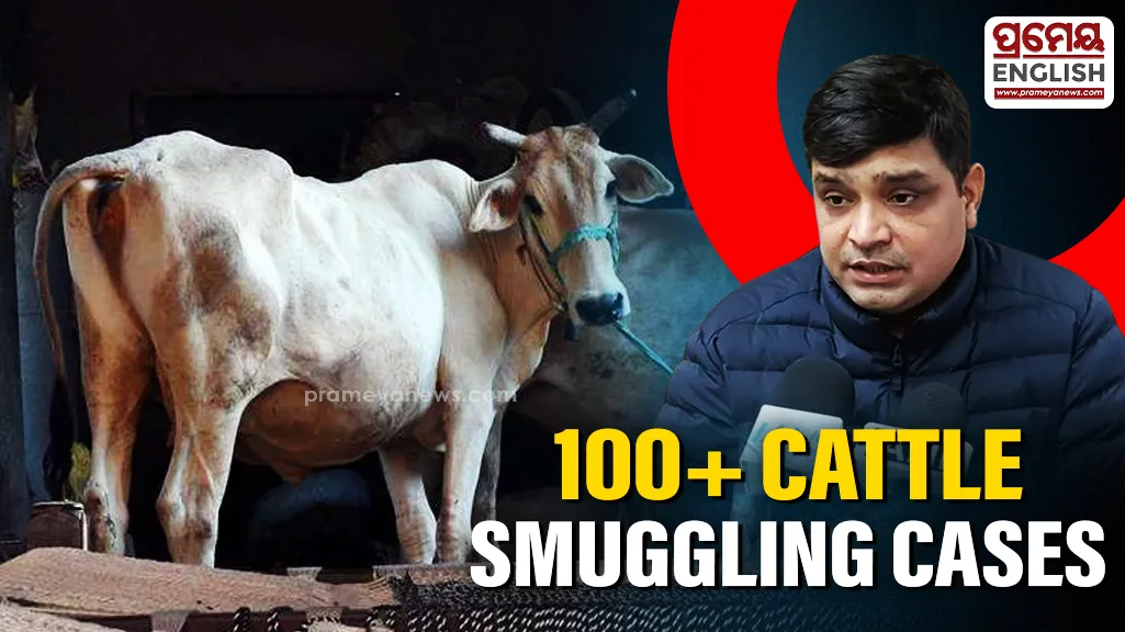 Odisha Police Crack Down on Illegal Cattle Smuggling, Over 100 Cases Registered