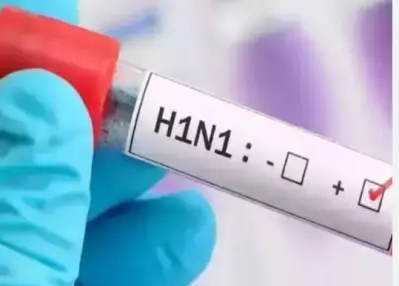 ICMR says no cause for panic over H1N1; current strains in circulation since 2025