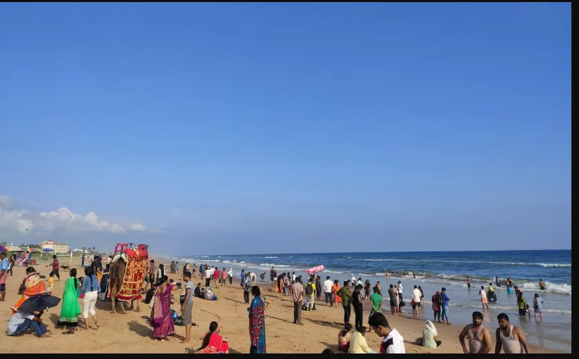 Beware! Venomous sea snakes spotted in Puri Estuaries, Coastal residents warned
