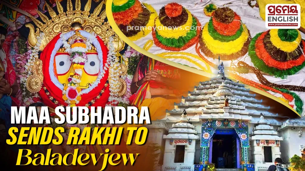 Puri to Kendrapara: Maa Subhadra’s patta rakhi arrives for Lord Baladevjew’s birthday