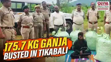 Kandhamal: 175.7 kg ganja seized, one arrested in Tikabali police raid