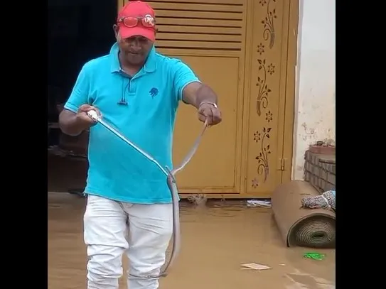 Snake threat rises in Odisha’s Jajpur as floodwaters recede; residents urged to stay alert

