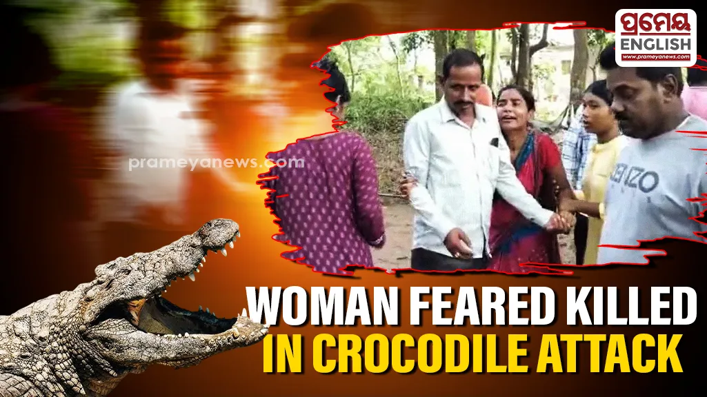 Woman feared killed in Crocodile attack in Kendrapara, search operation underway