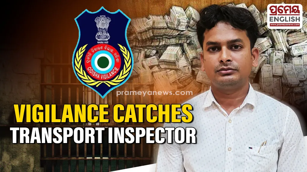 Transport Inspector 