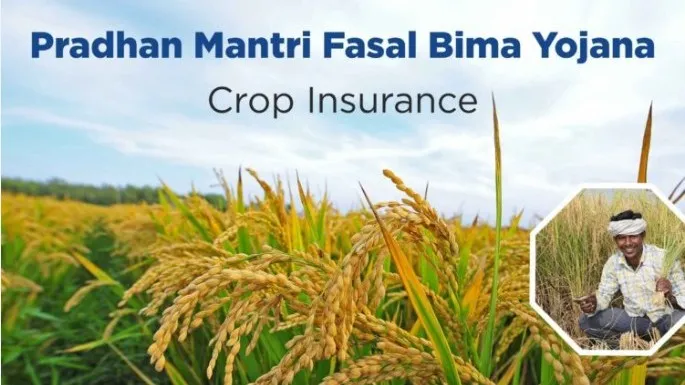 PM Fasal Bima Yojana enrolment deadline extended to August 15 in Odisha
