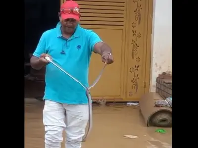 Snake threat rises in Odisha’s Jajpur as floodwaters recede; residents urged to stay alert