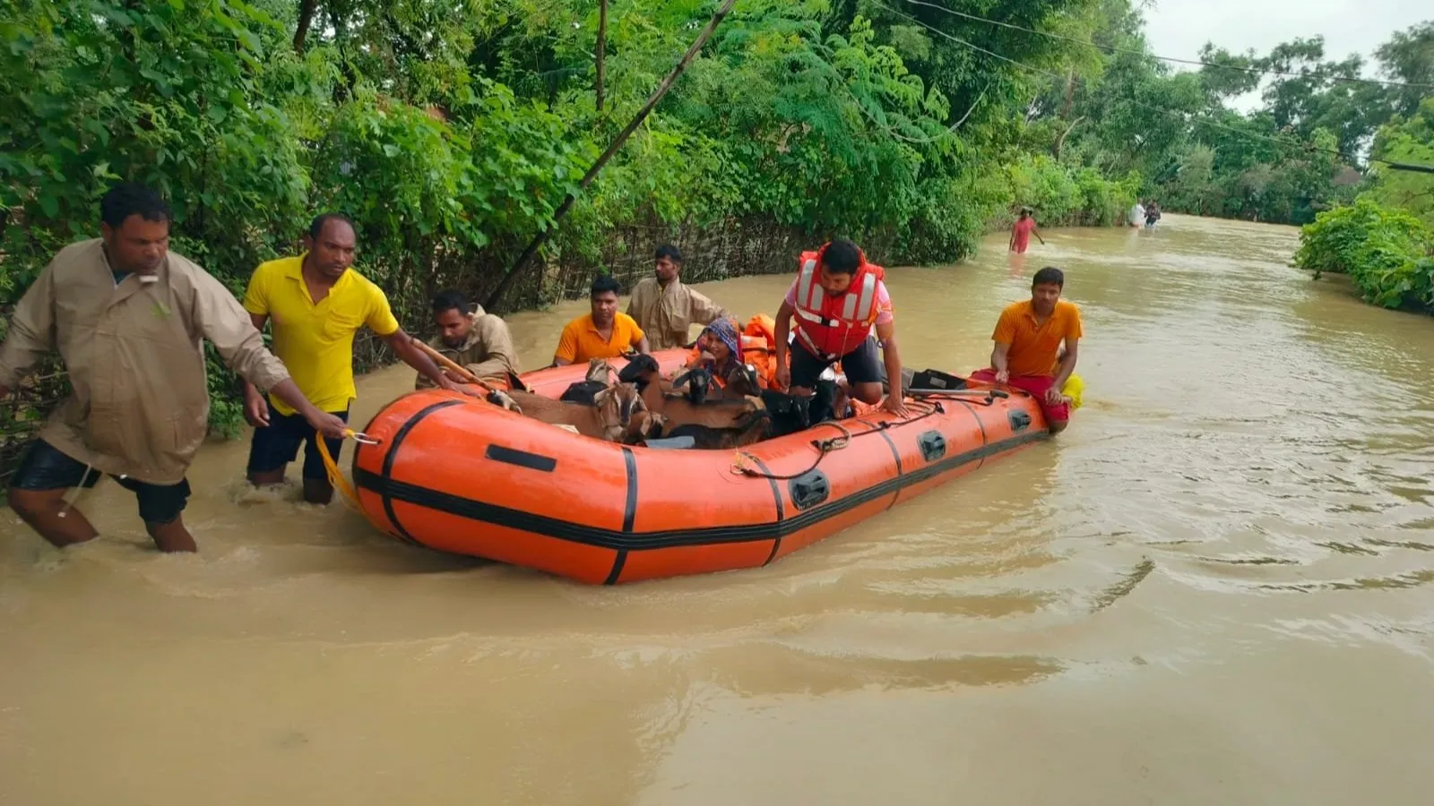 Odisha govt announces ₹110 crore relief package for flood victims