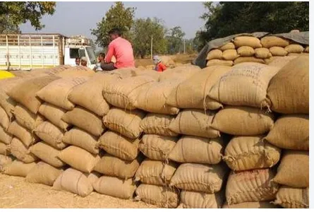 Odisha: Paddy Procurement Registration Deadline Extended by Seven Days