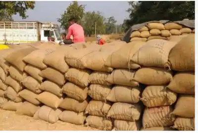 Odisha: Paddy Procurement Registration Deadline Extended by Seven Days