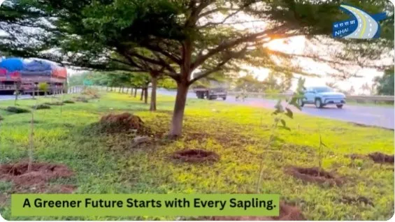 Green Makeover: NHAI plants over 2.40 lakh saplings along highways in Odisha