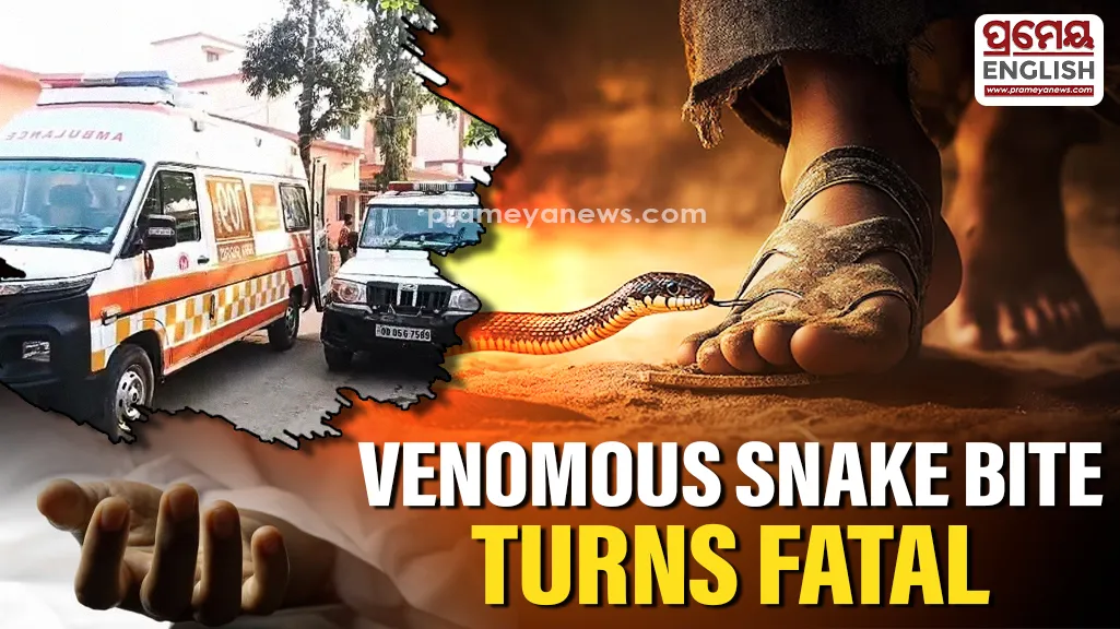 Tragic: Woman dies after venomous snake bite in Odisha's Ganjam