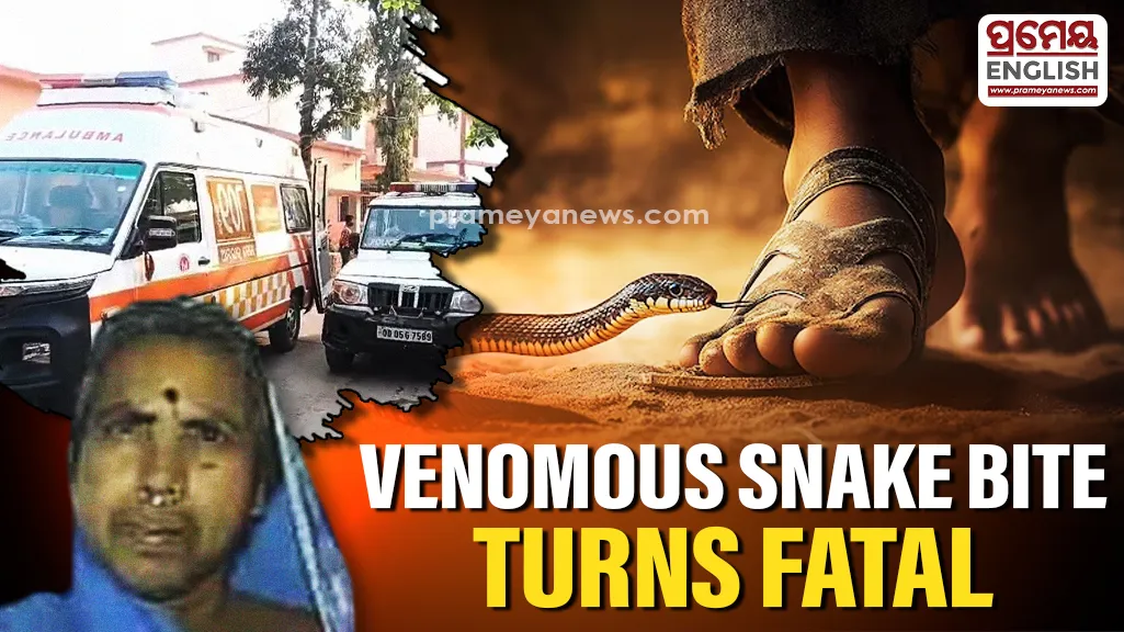 Hearing her cries for help, family members rushed to the spot and immediately shifted her in a critical condition to the Adapada Community Health Centre (CHC) for treatment. The family members also reportedly noticed a venomous snake leaving the spot while they were taking her to the hospital
