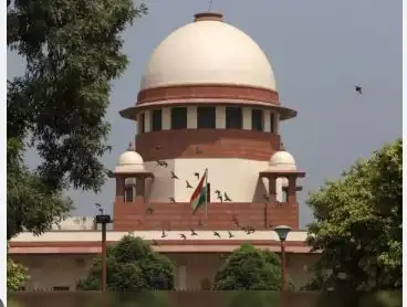 Central Govt Opposes SC/ST Creamy Layer Quota Plea in Supreme Court