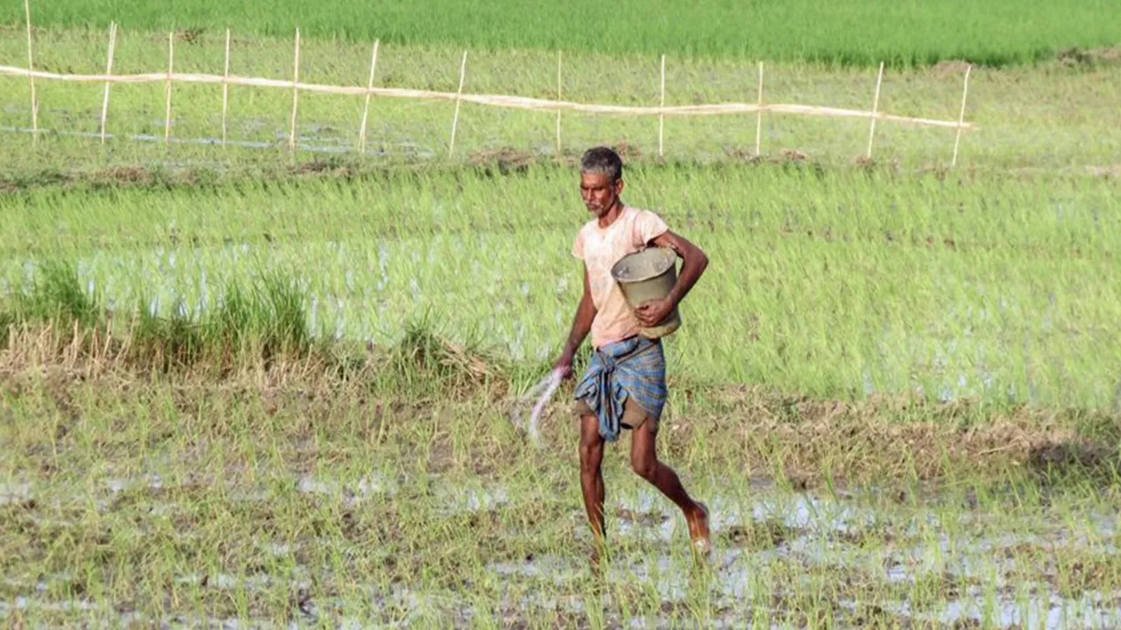 Fertiliser supply for kharif crops in Odisha 