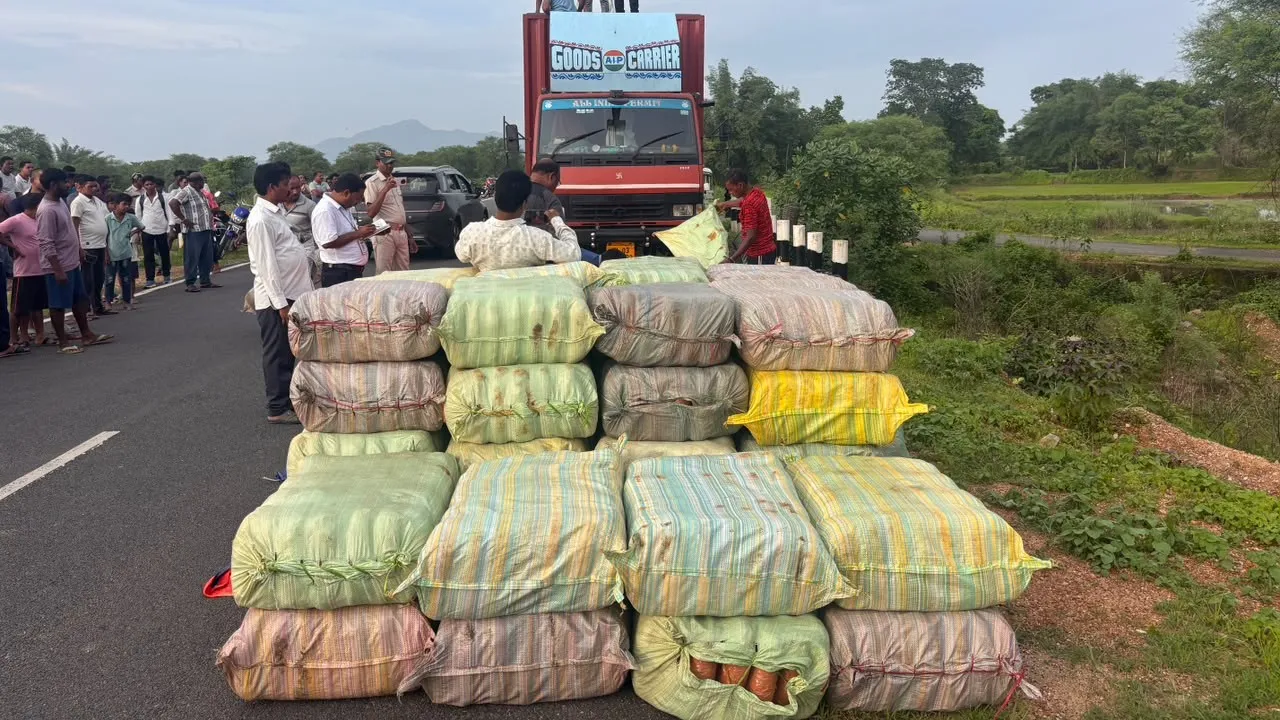 Ganja worth Rs 13 crore seized in Odisha’s Sonepur


