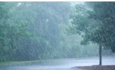 Heavy Rain, Lightning, thunderstorms likely in Odisha over next 24 hours; Yellow warning issued