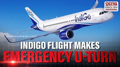 IndiGo Goa to Delhi Flight Makes Urgent U Turn after Engine Snag Forces Emergency Landing