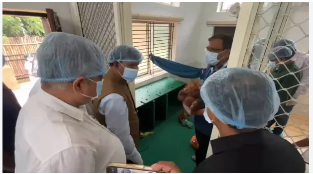 Odisha Forest Minister Warns Strict Action Against Illegal Orangutan Traffickers