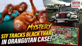 Orangutans in Odisha's forest: Black SUV spotted on CCTV; STF scans airports, railway stations & waterways