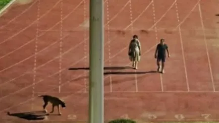 Supreme Court Stays Reinstatement of IAS Officer Rinku Dhugga in Dog-Walking Controversy