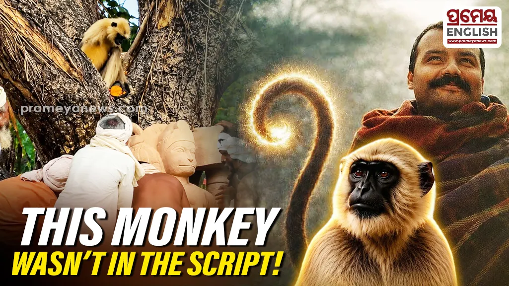 Monkey’s Surprise Appearance During Hanuman Ansh Shoot Leaves Villagers Amazed | Neem Karoli Baba Film