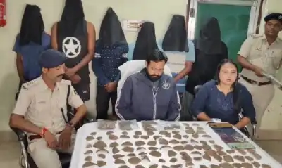 Pangolin smuggling busted in Malkangiri, six arrested