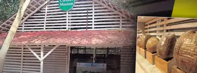 Think you know coconut? This unique Odisha museum will change the way you see it