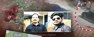 Orangutan in Odisha: STF yet to trace Kolkata father-son duo, over 50 digha hotels searched