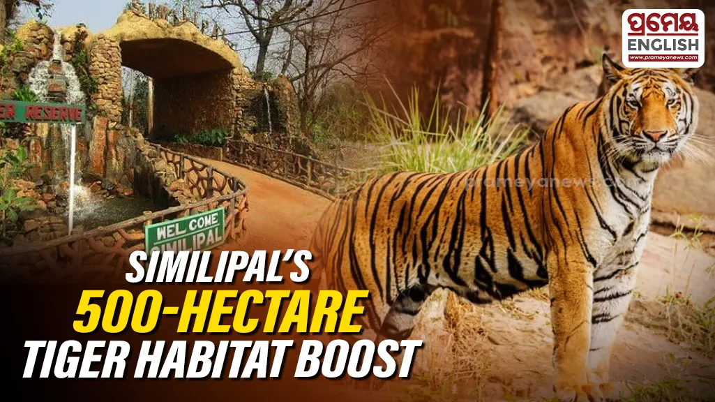 Similipal Tiger Reserve launches 500 hectare grassland restoration drive to strengthen tiger habitat