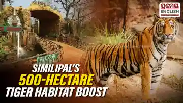 Similipal Tiger Reserve launches 500 hectare grassland restoration drive to strengthen tiger habitat